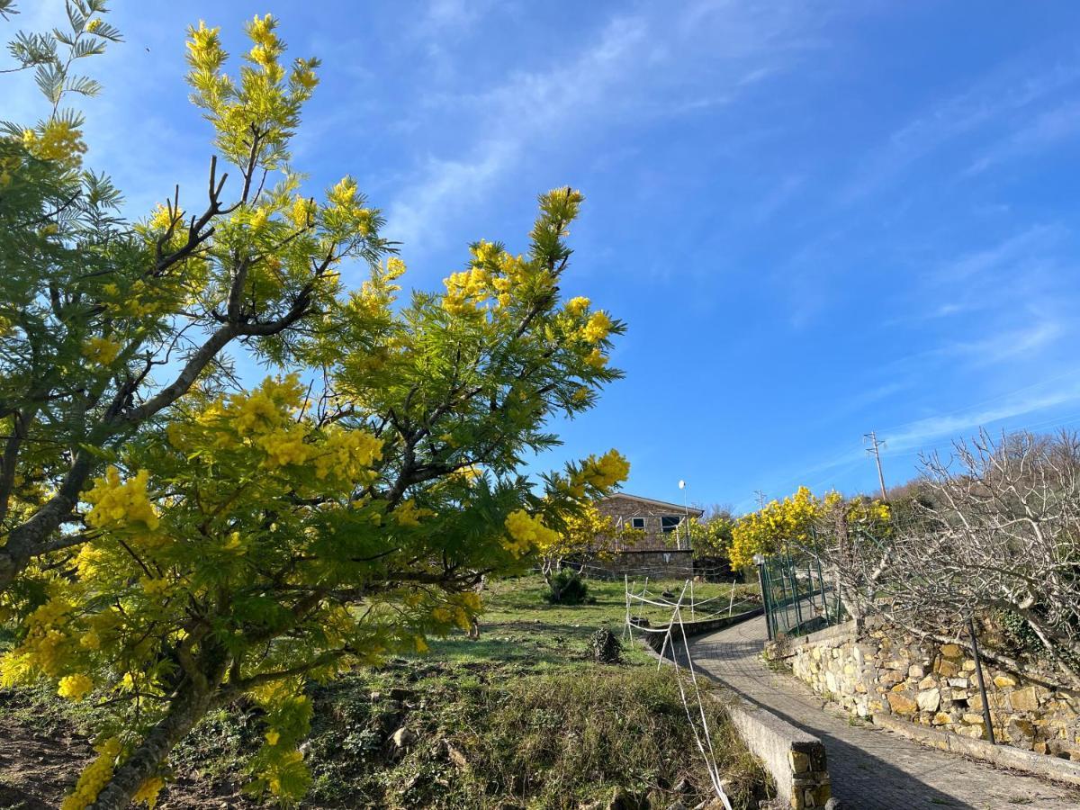 Agriturismo Le Mimose Imperia Ngoại thất bức ảnh