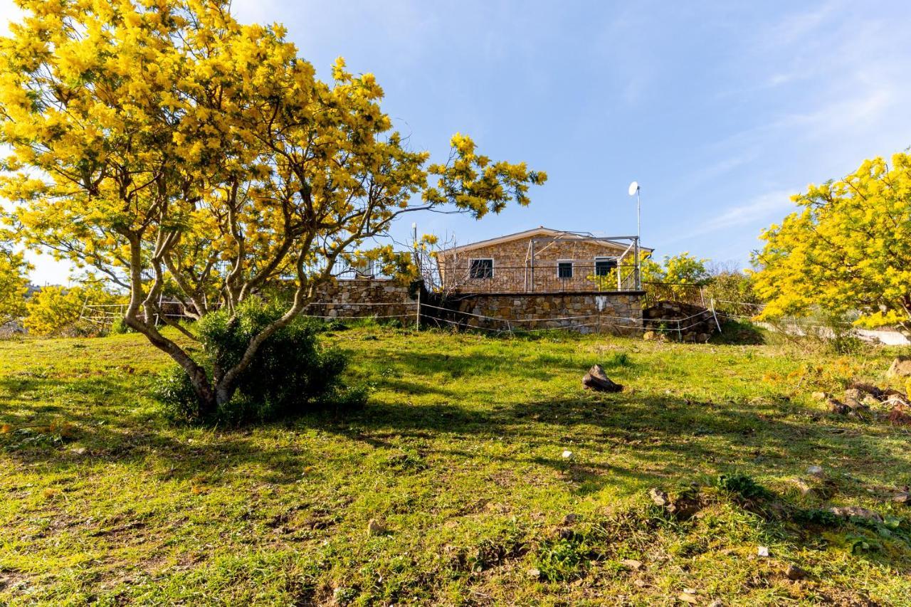 Agriturismo Le Mimose Imperia Ngoại thất bức ảnh